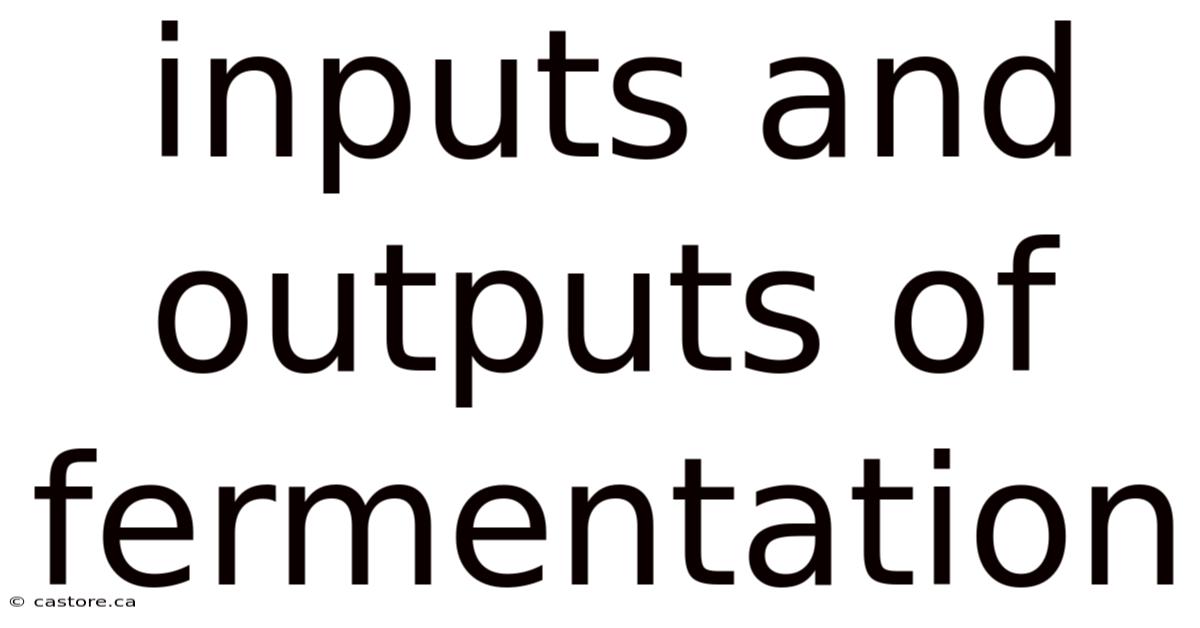 Inputs And Outputs Of Fermentation