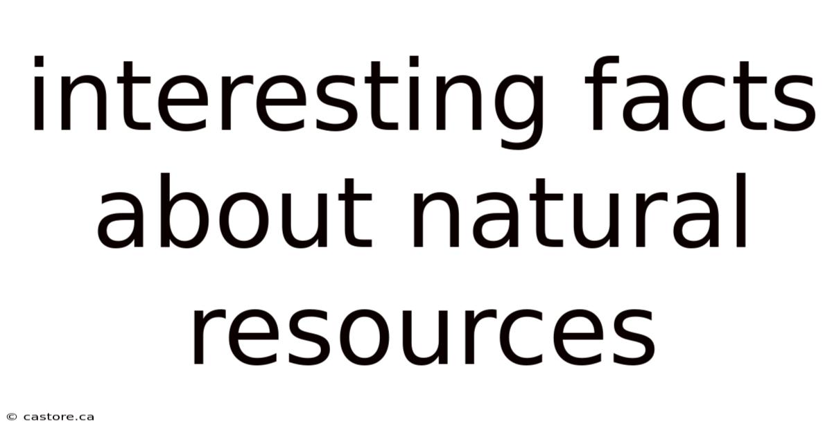 Interesting Facts About Natural Resources