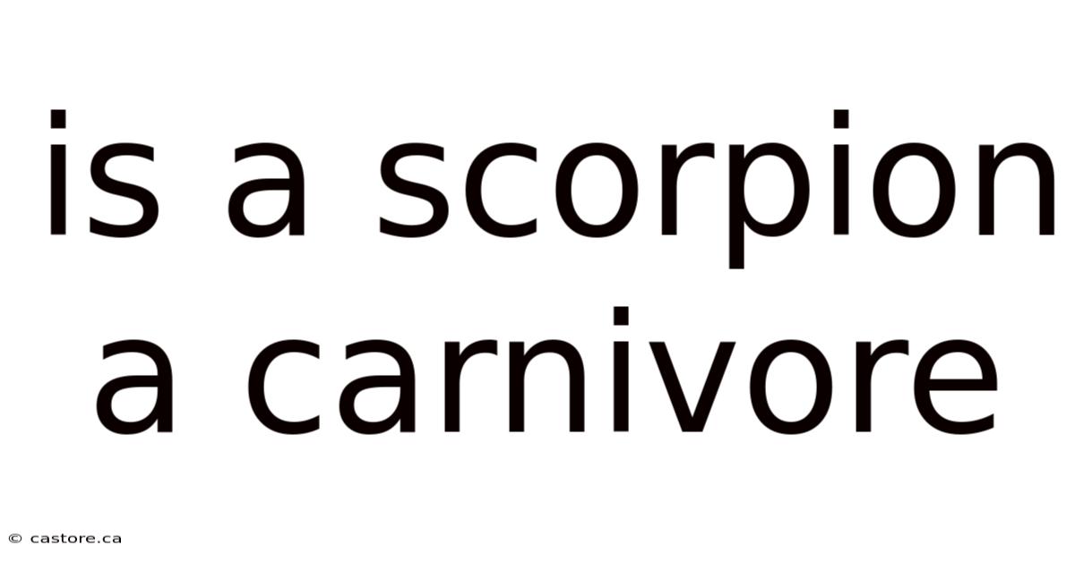 Is A Scorpion A Carnivore