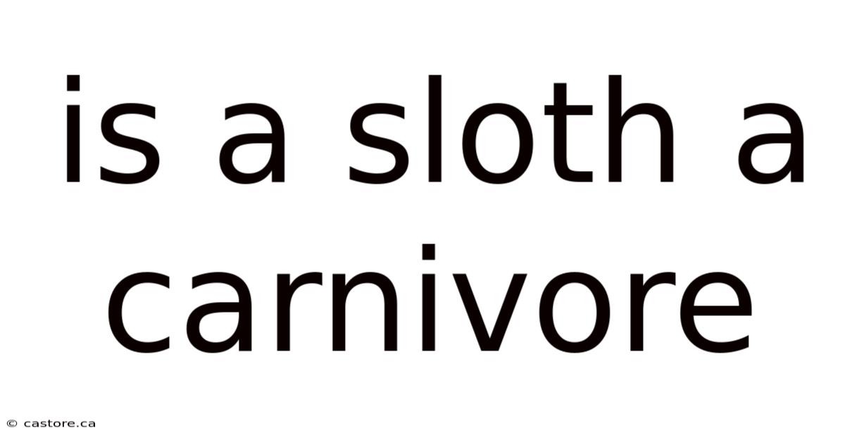 Is A Sloth A Carnivore
