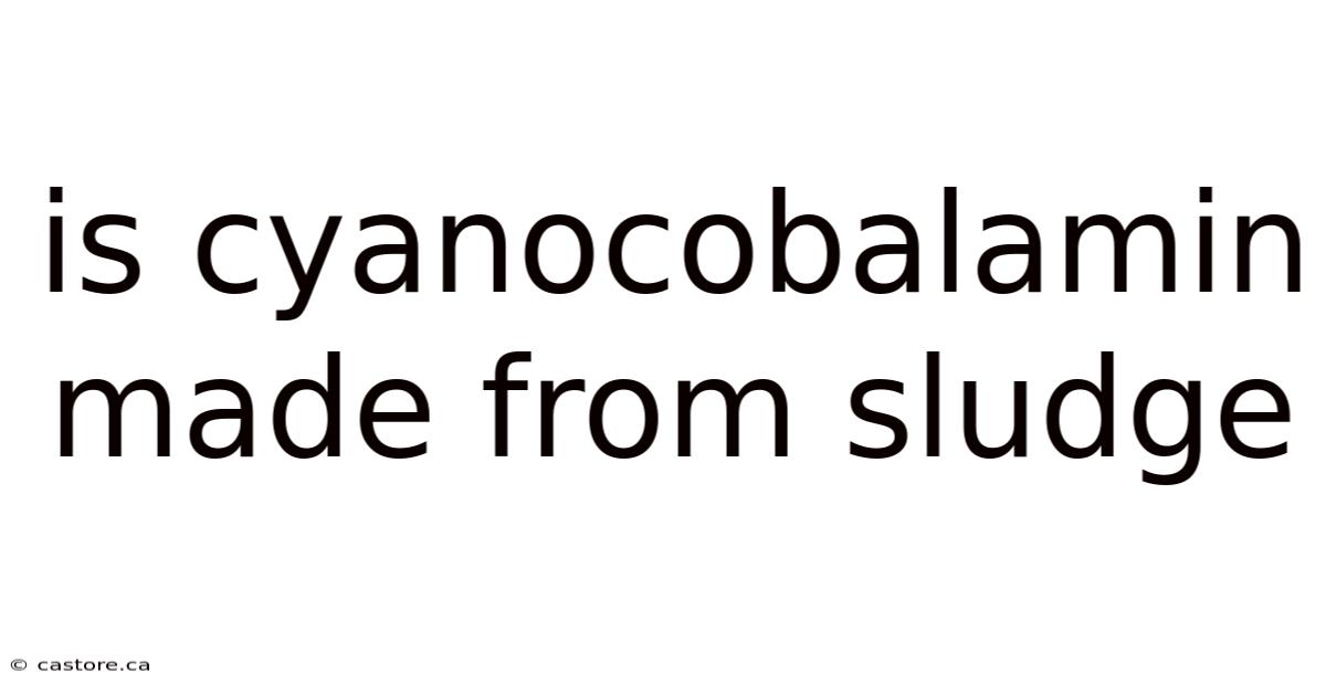 Is Cyanocobalamin Made From Sludge