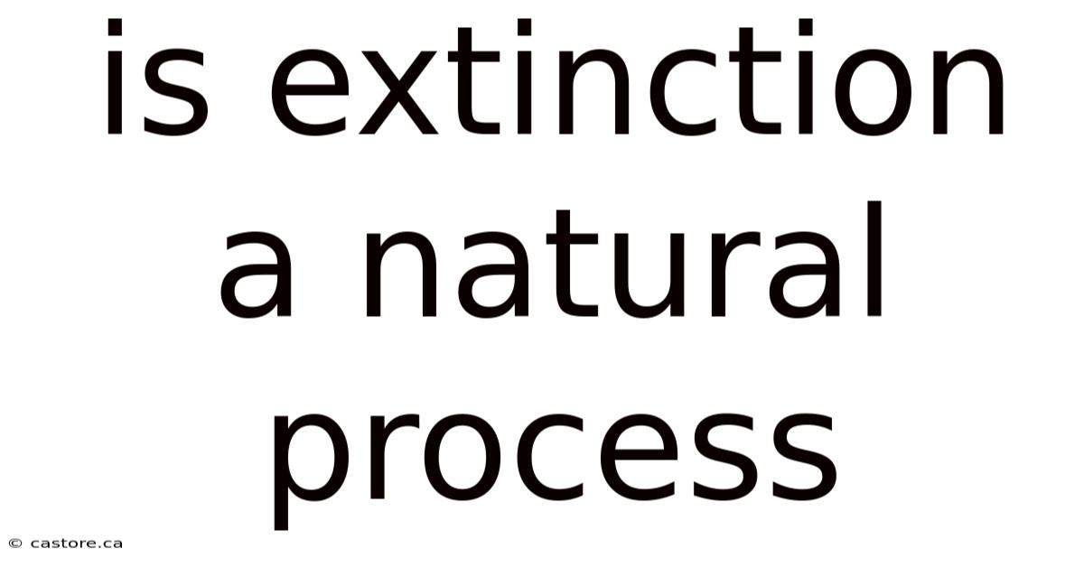 Is Extinction A Natural Process