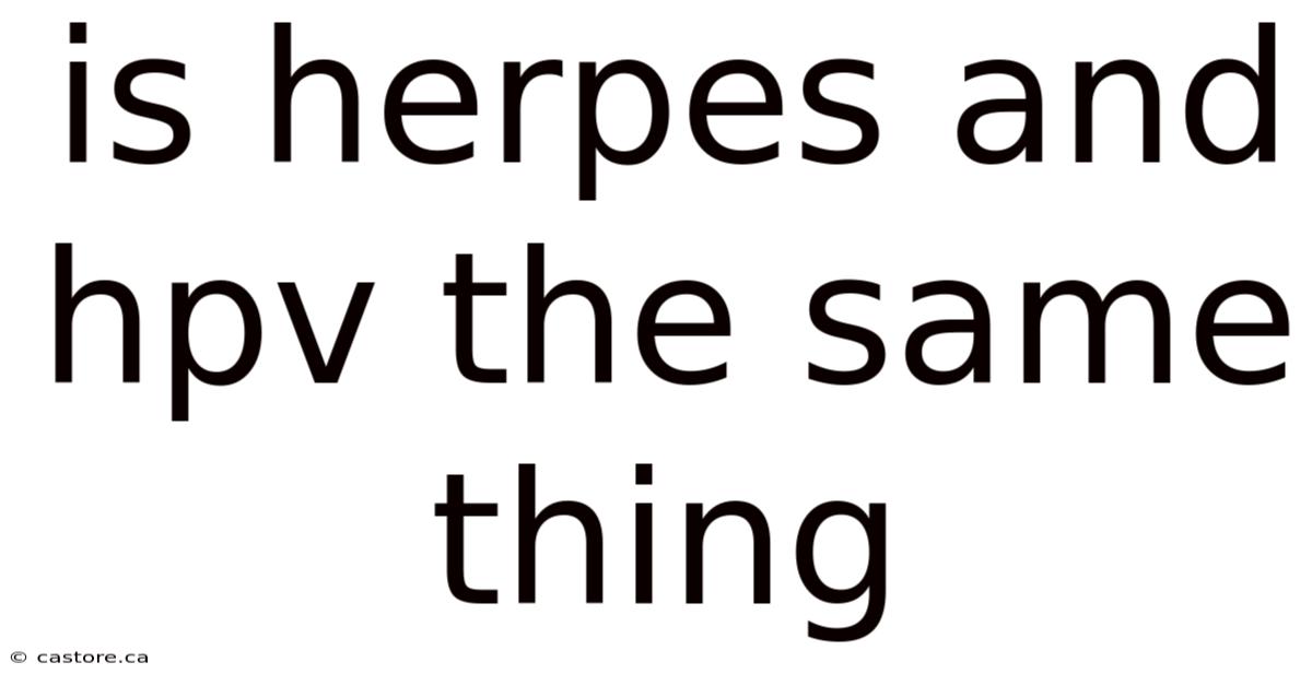 Is Herpes And Hpv The Same Thing