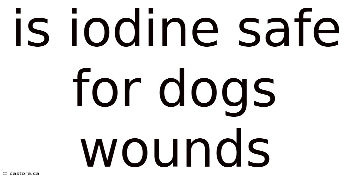 Is Iodine Safe For Dogs Wounds