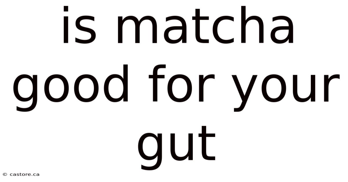 Is Matcha Good For Your Gut