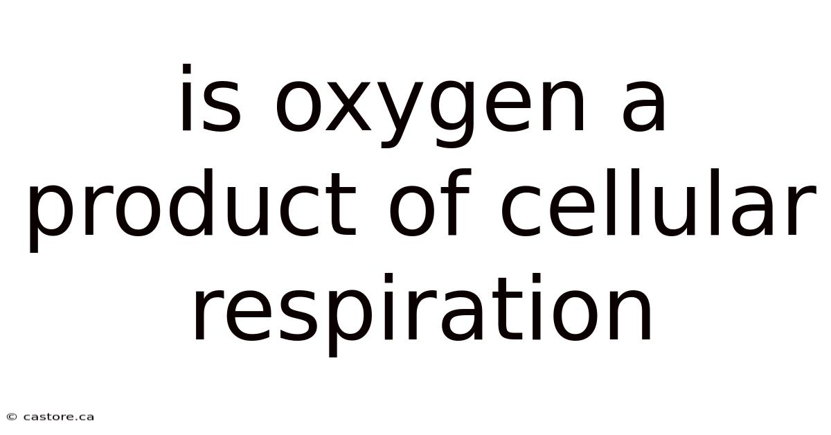 Is Oxygen A Product Of Cellular Respiration