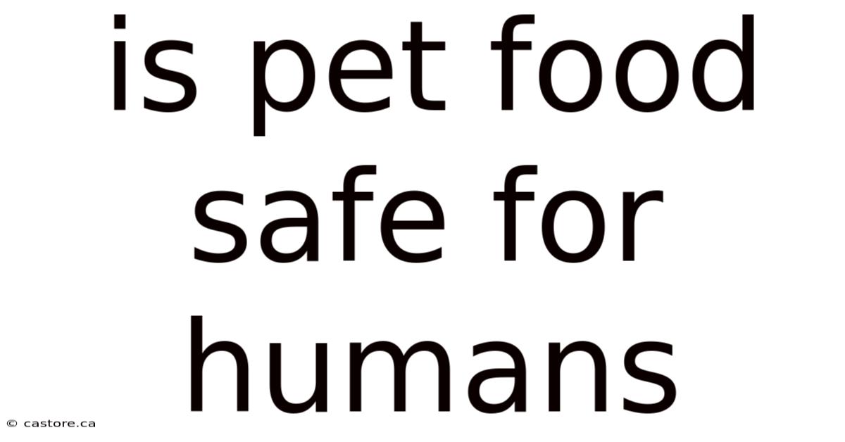 Is Pet Food Safe For Humans