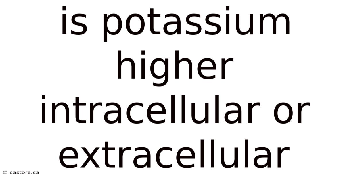 Is Potassium Higher Intracellular Or Extracellular