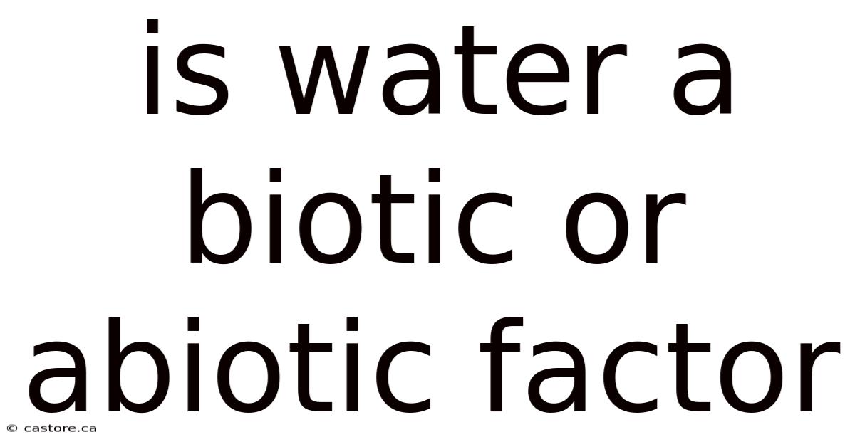 Is Water A Biotic Or Abiotic Factor