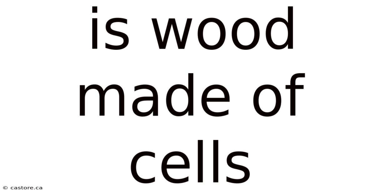 Is Wood Made Of Cells