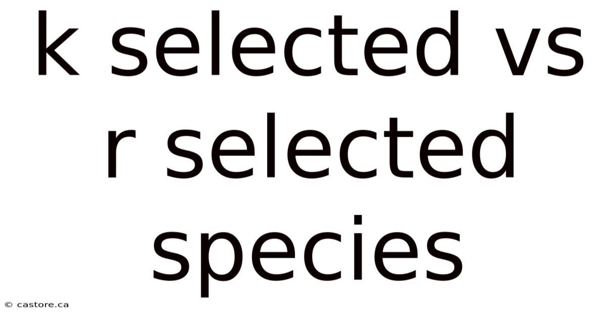 K Selected Vs R Selected Species