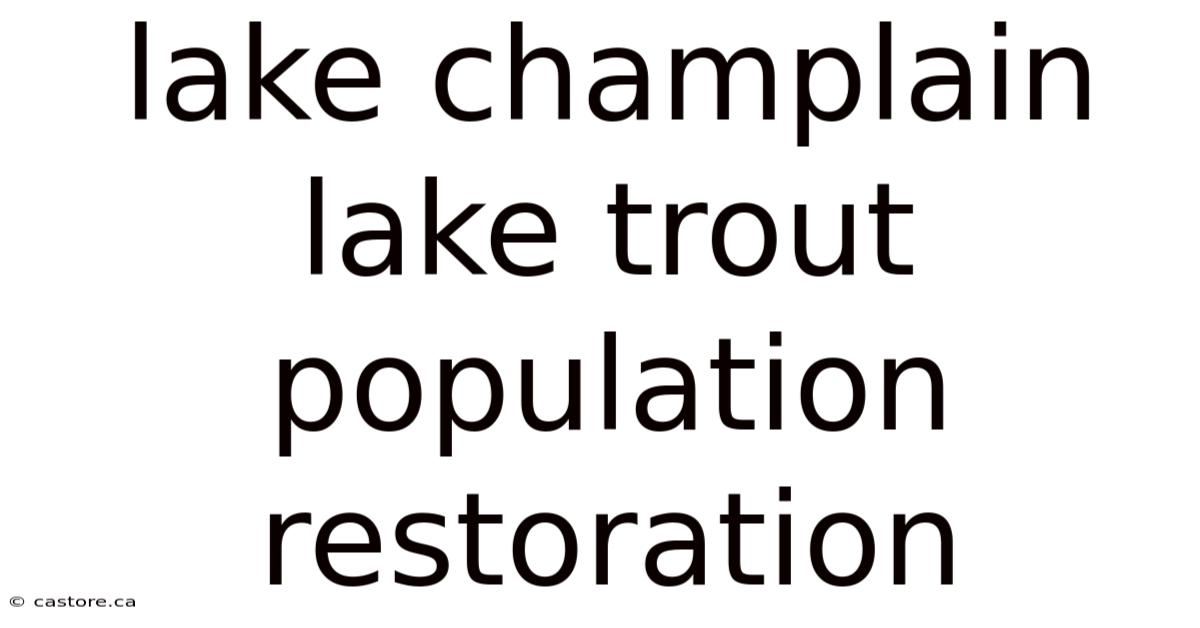 Lake Champlain Lake Trout Population Restoration