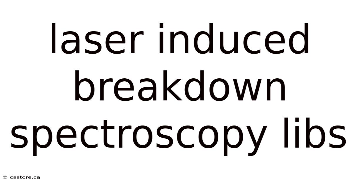 Laser Induced Breakdown Spectroscopy Libs