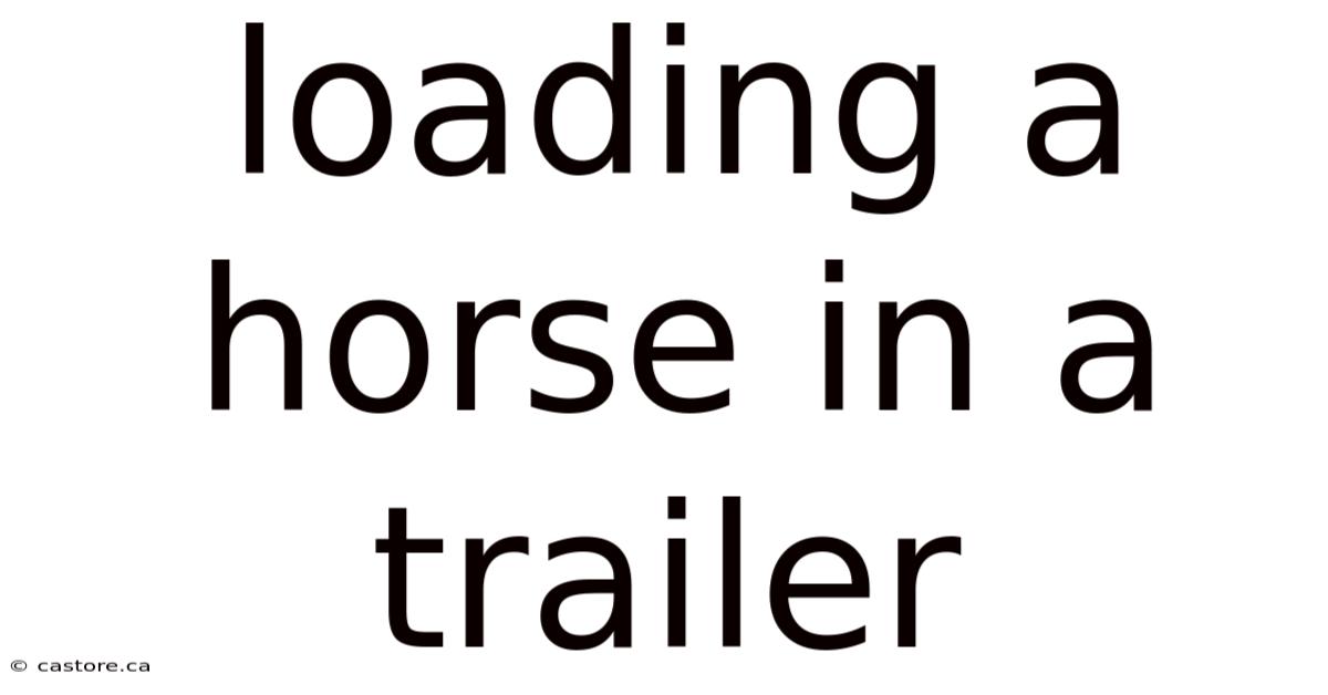 Loading A Horse In A Trailer