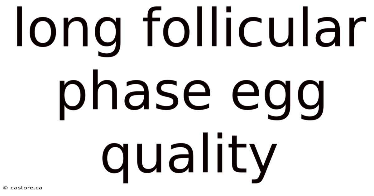 Long Follicular Phase Egg Quality
