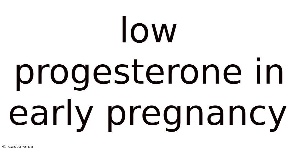 Low Progesterone In Early Pregnancy