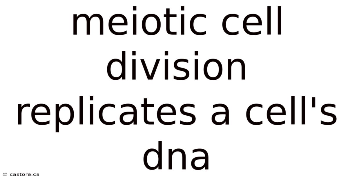 Meiotic Cell Division Replicates A Cell's Dna