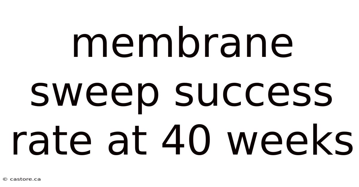 Membrane Sweep Success Rate At 40 Weeks