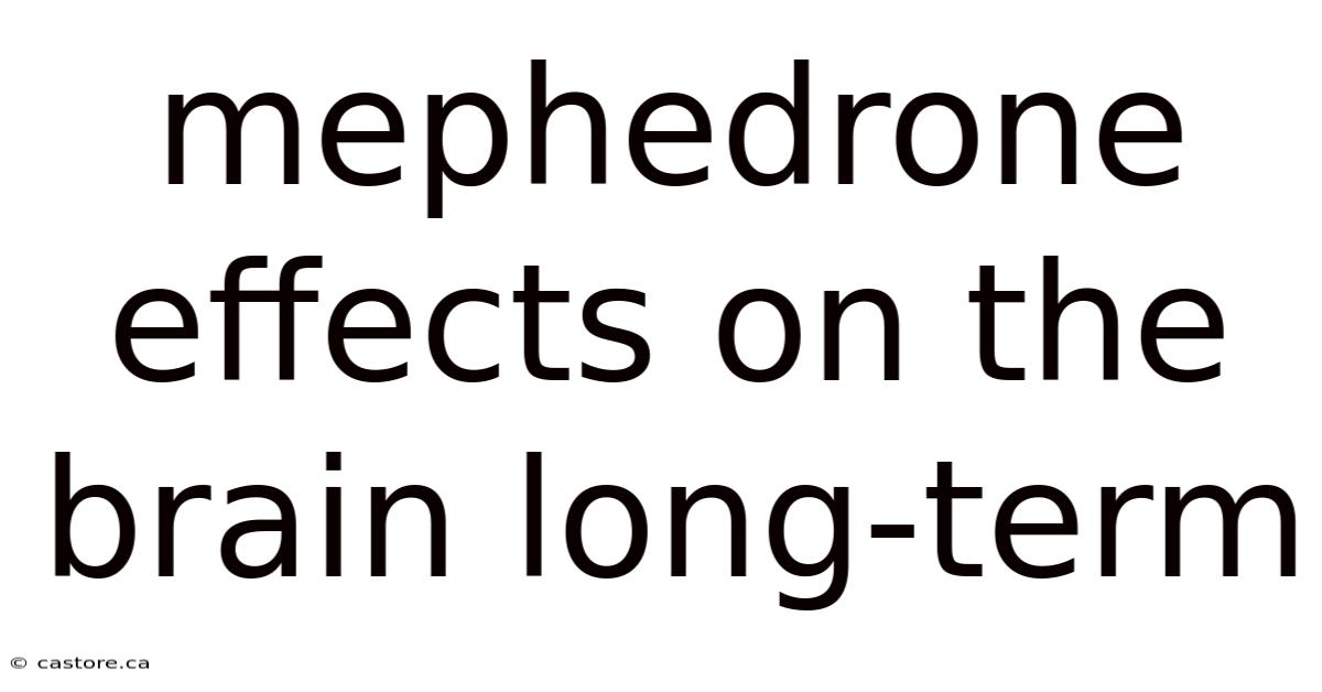 Mephedrone Effects On The Brain Long-term