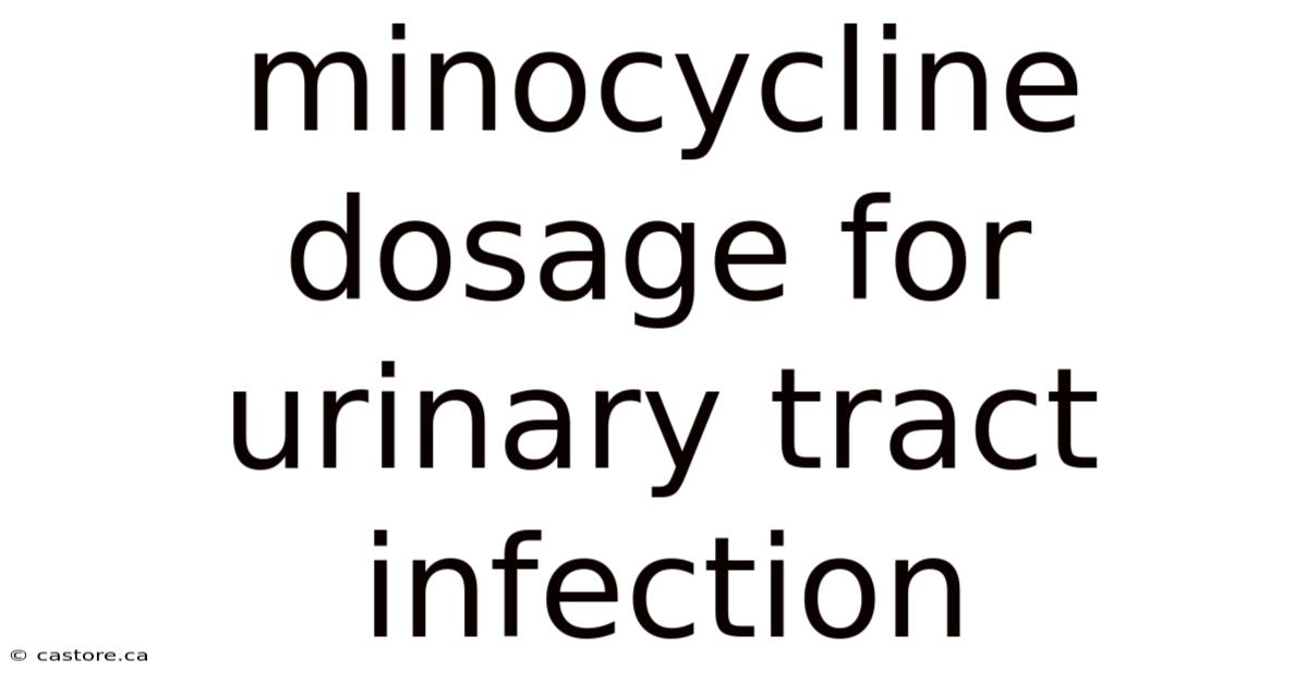Minocycline Dosage For Urinary Tract Infection