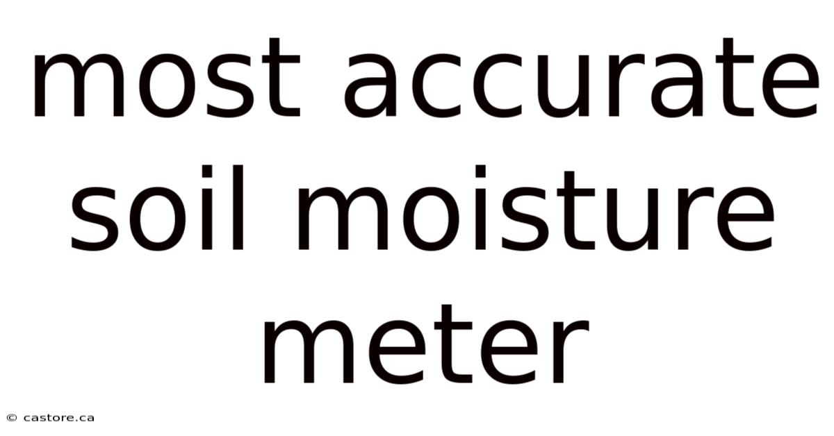 Most Accurate Soil Moisture Meter