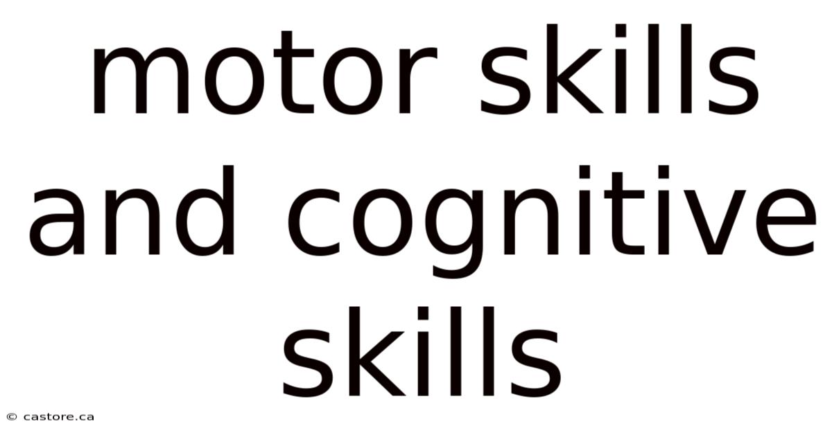 Motor Skills And Cognitive Skills