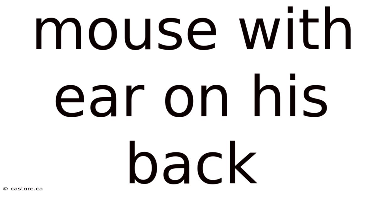 Mouse With Ear On His Back