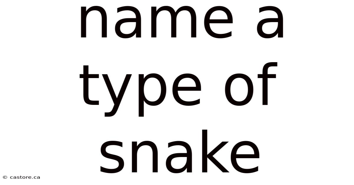 Name A Type Of Snake