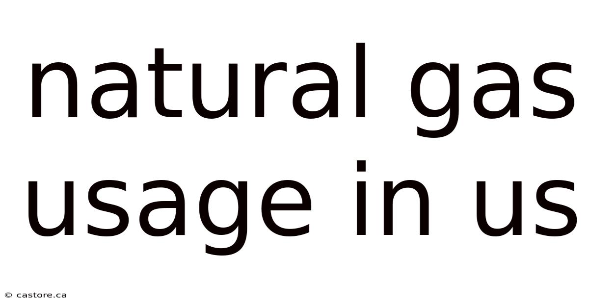 Natural Gas Usage In Us
