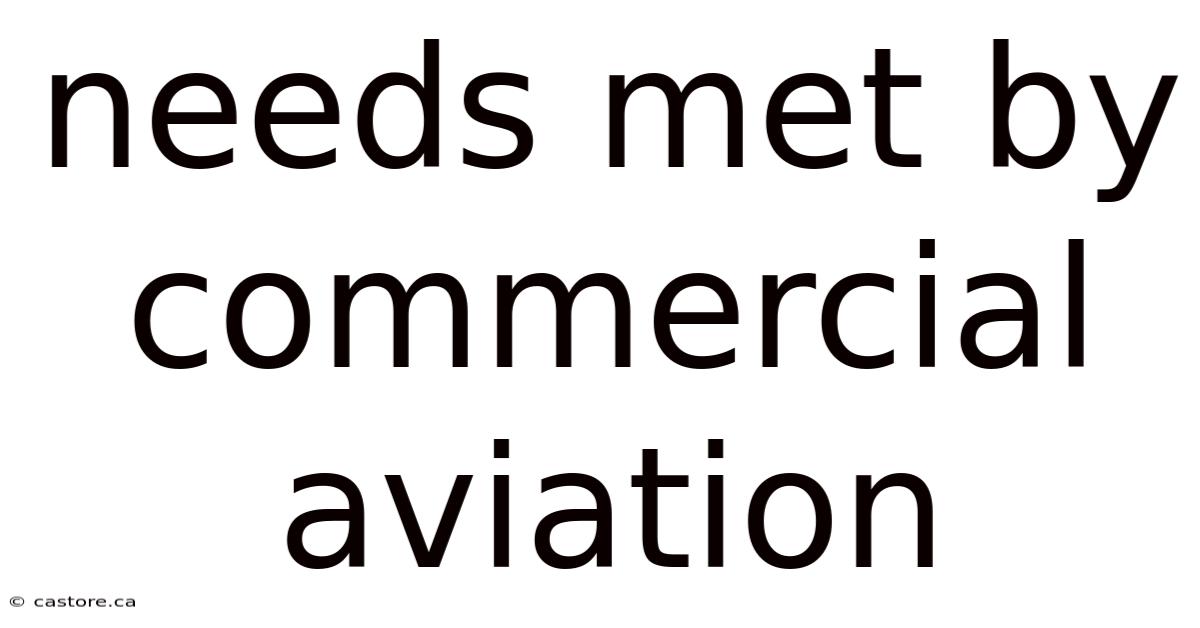 Needs Met By Commercial Aviation
