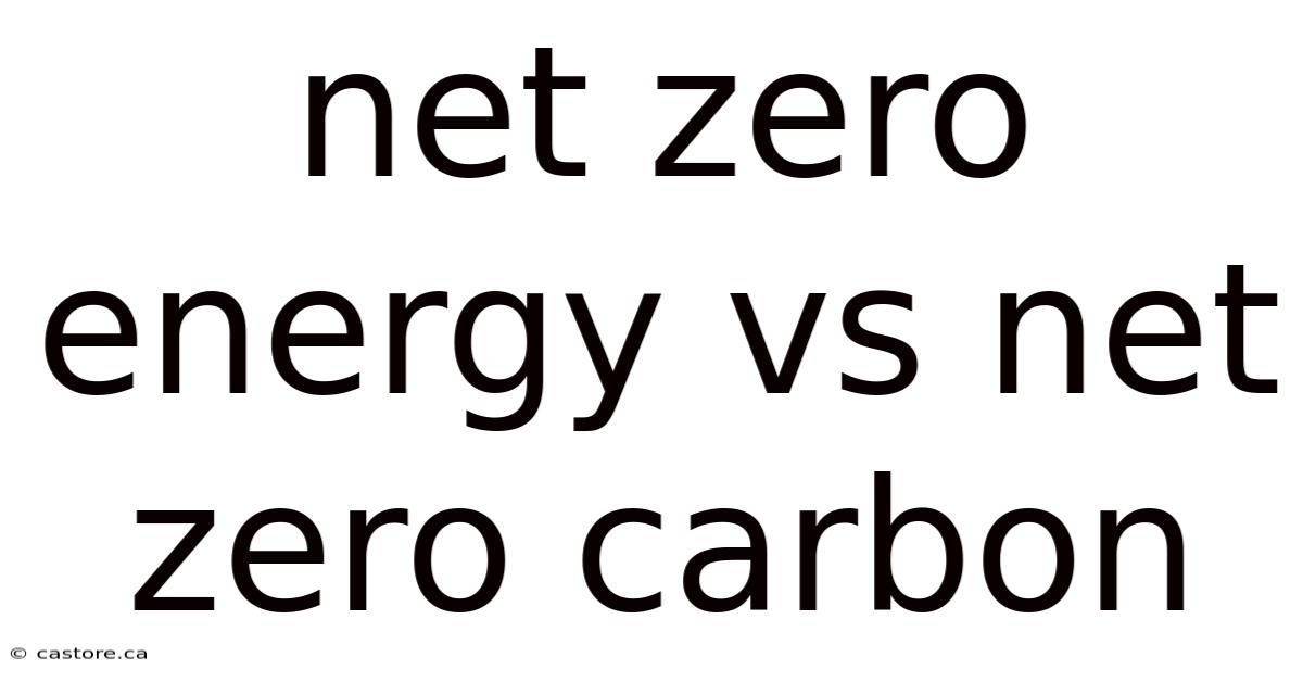 Net Zero Energy Vs Net Zero Carbon