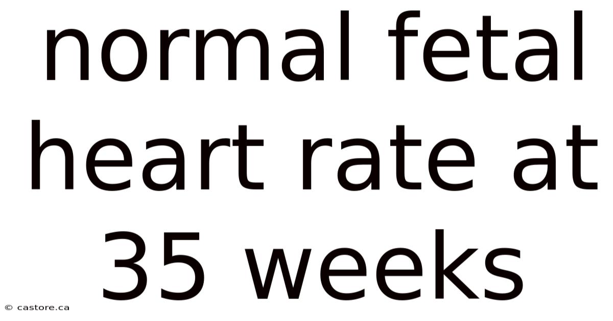 Normal Fetal Heart Rate At 35 Weeks