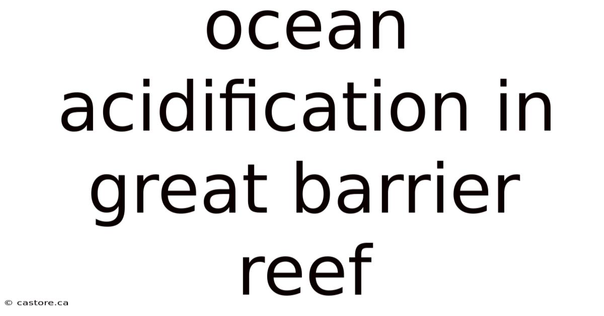 Ocean Acidification In Great Barrier Reef