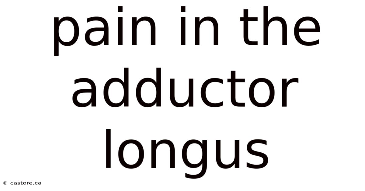 Pain In The Adductor Longus