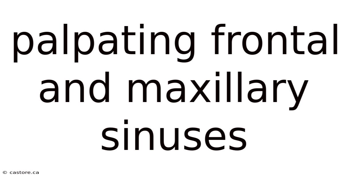 Palpating Frontal And Maxillary Sinuses