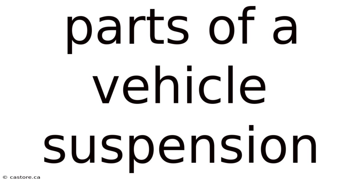 Parts Of A Vehicle Suspension
