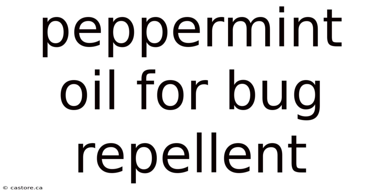 Peppermint Oil For Bug Repellent
