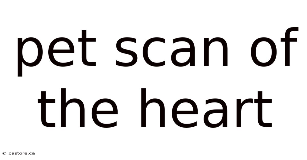Pet Scan Of The Heart