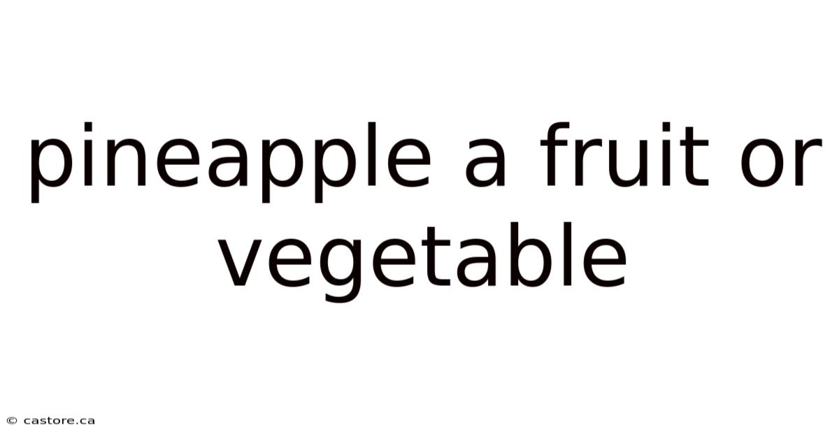Pineapple A Fruit Or Vegetable