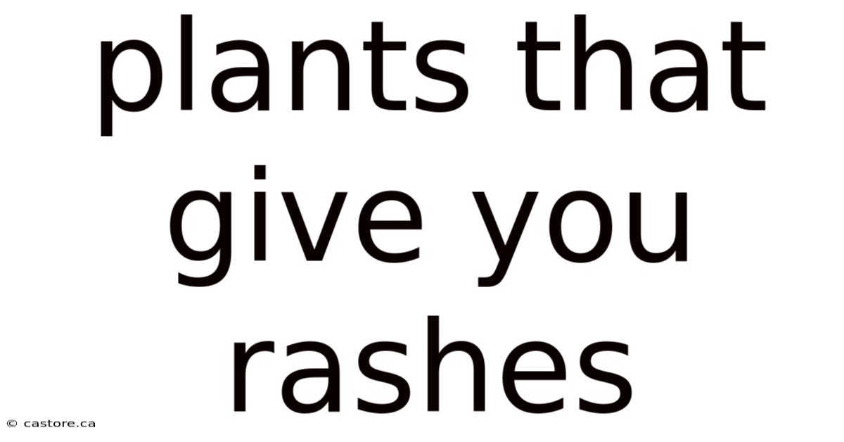Plants That Give You Rashes
