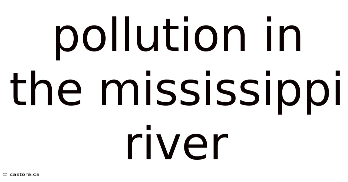 Pollution In The Mississippi River