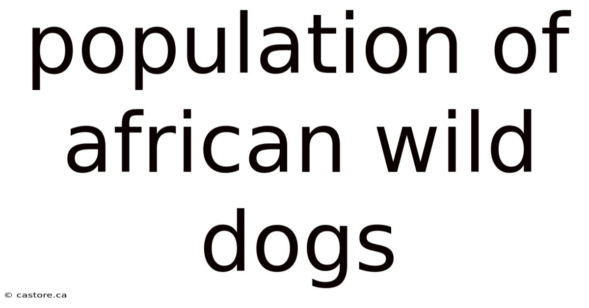 Population Of African Wild Dogs