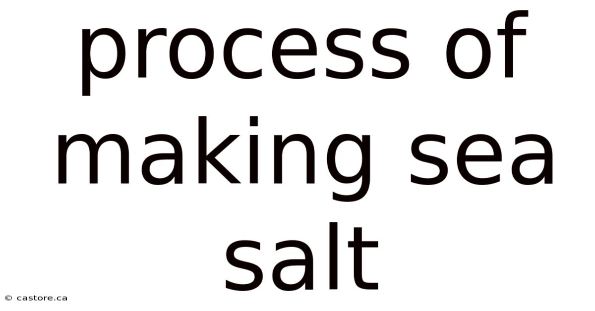 Process Of Making Sea Salt