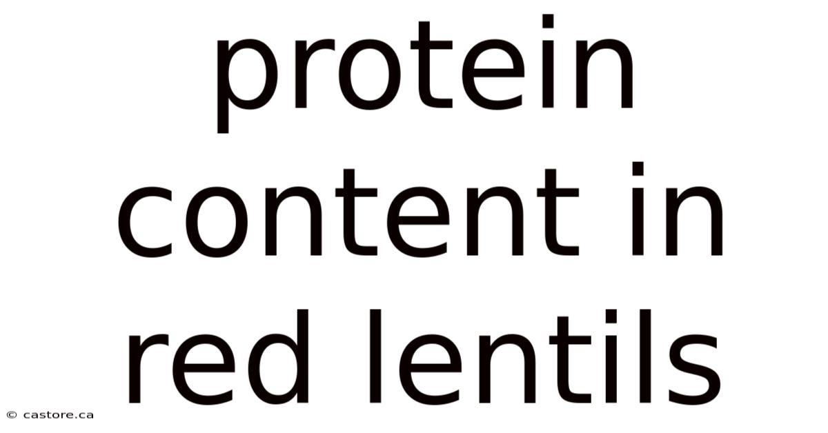 Protein Content In Red Lentils