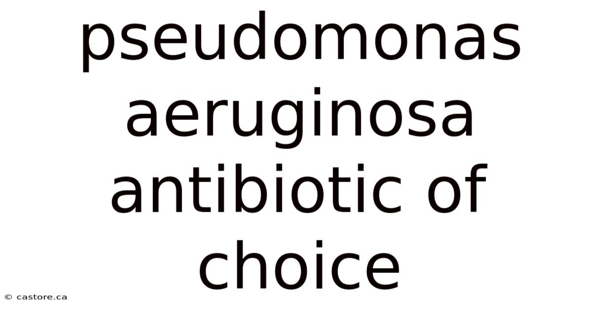 Pseudomonas Aeruginosa Antibiotic Of Choice