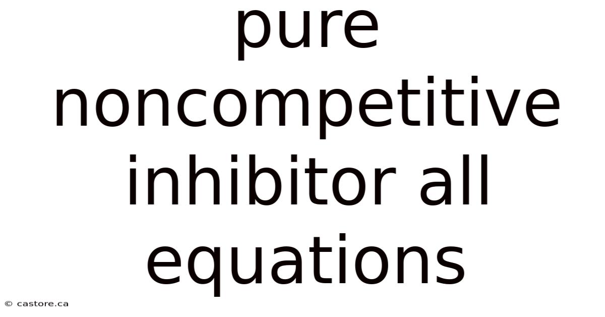 Pure Noncompetitive Inhibitor All Equations