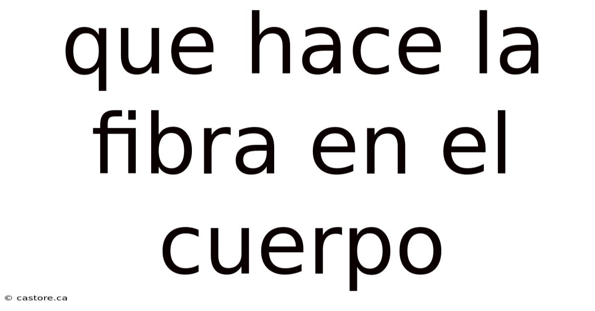 Que Hace La Fibra En El Cuerpo