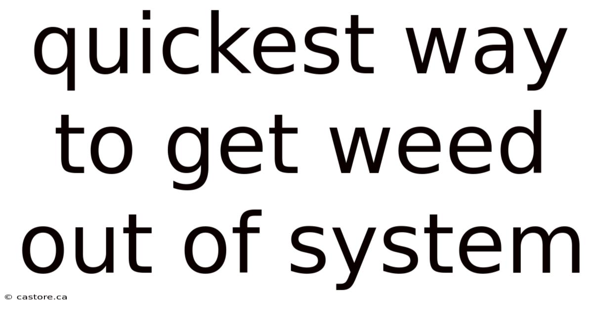 Quickest Way To Get Weed Out Of System