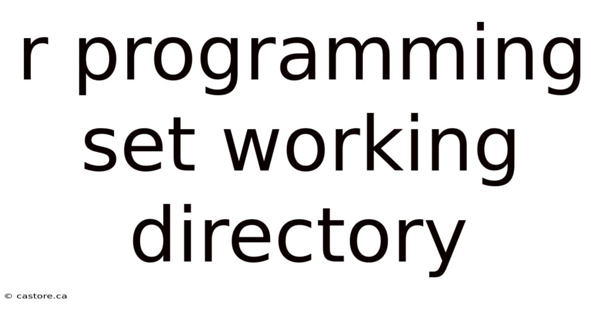 R Programming Set Working Directory