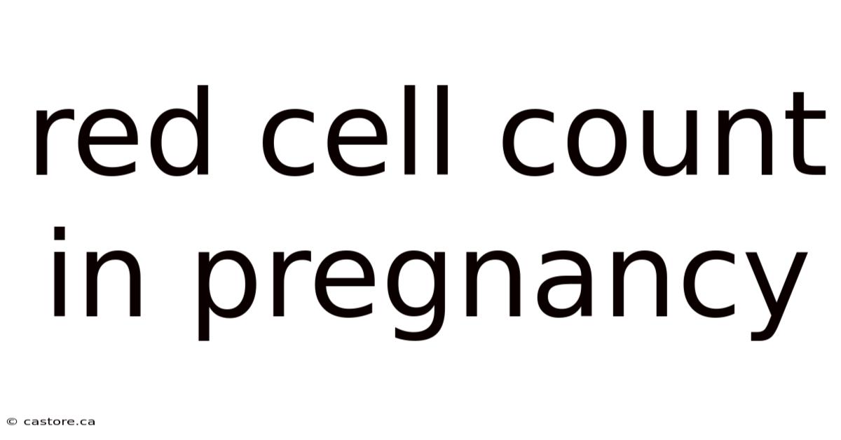 Red Cell Count In Pregnancy